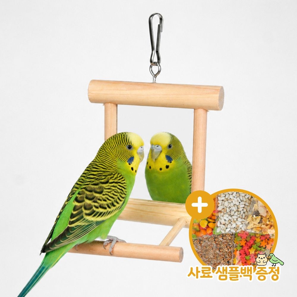 거울은 내친구 소형 앵무새 장난감 잉꼬 그네 횃대