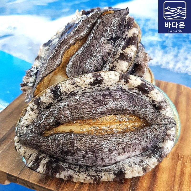 바다온 완도활전복 1kg 18-20미(미당50g내외) [산소팩, 무료배송]