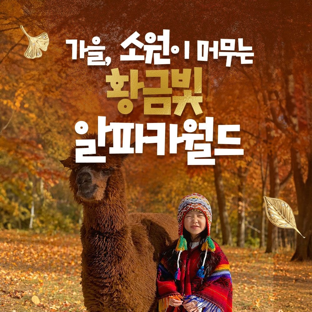 [홍천] 알파카월드 입장권