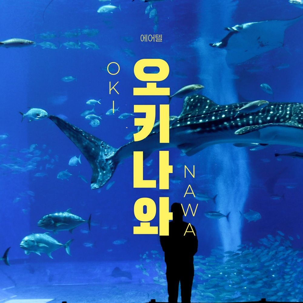 [롯데온] 오키나와 2박3일/3박4일 자유여행