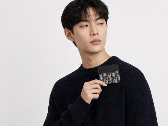 자이언츠데이디올 오블리크 카드 홀더 카드슬롯 2ESCH135YSE