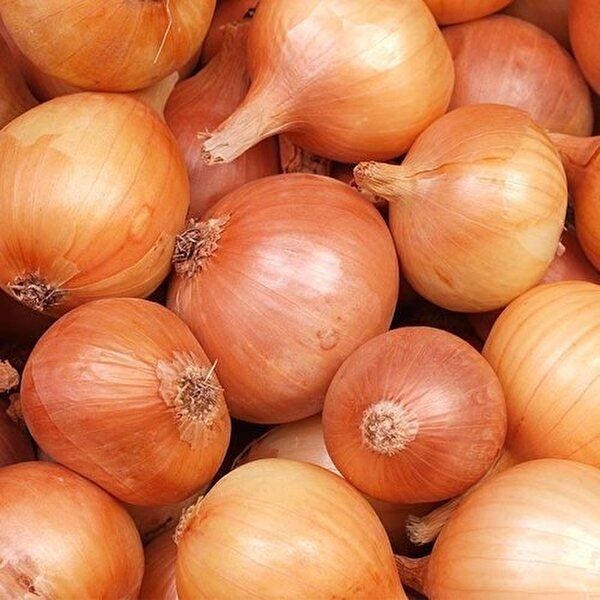 [롯데온] 양파,시래기,샐러드,방울토마토,바지락,함박,다진마늘,당면,무파마,육개장,와치아테,낙곱새,고래사,사미헌,삼육,리챔,진라면,짜파게티,튀김우동 등 (다...