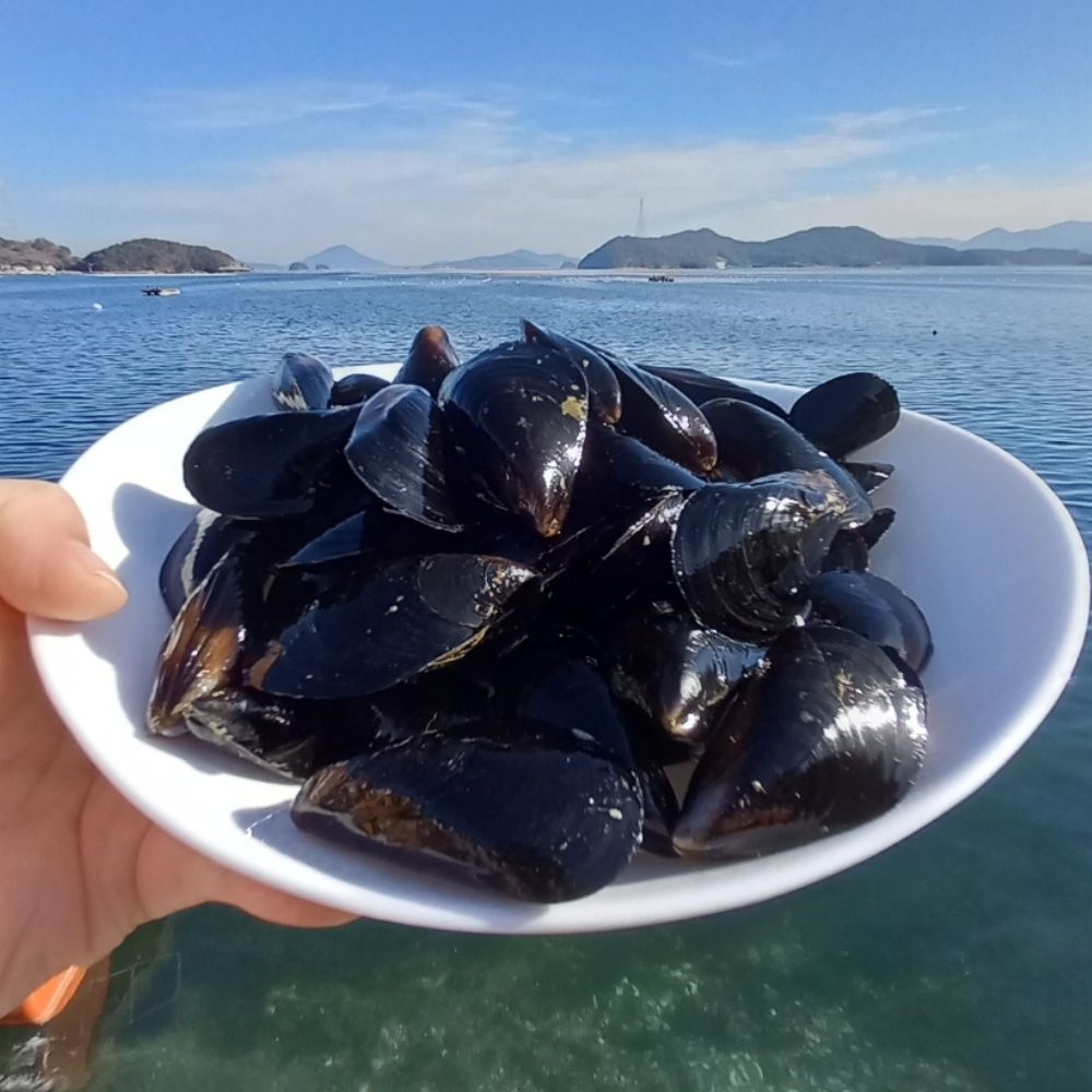 [롯데온] 국내산 여수 홍합 5kg (8,170원/무료)