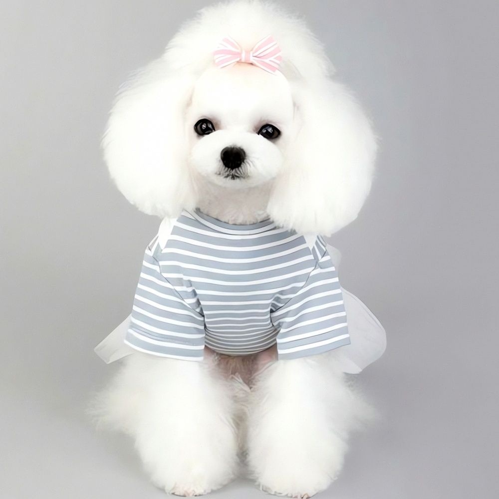 강아지 데일리 산책용 올인원 스타일 증멍사진 연출용 산책 옷 반려견 반려동물 의상 펫