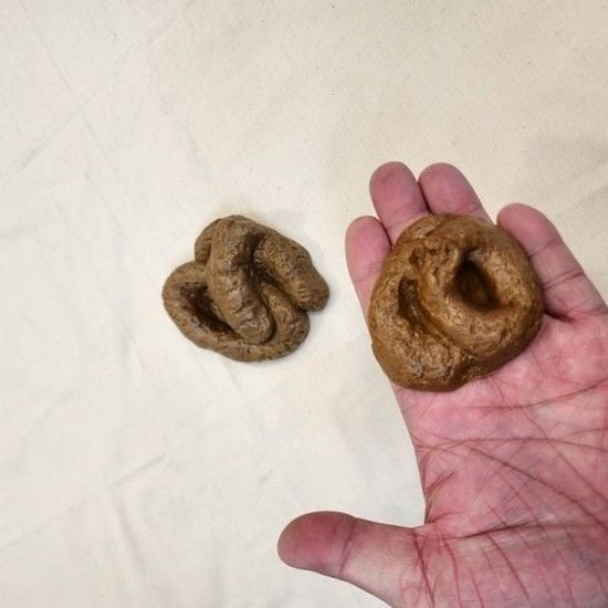장식품 똥 리얼 모형 모양 변기 배변훈련 교육용 어린 장난 만우절 모양 응가 가짜
