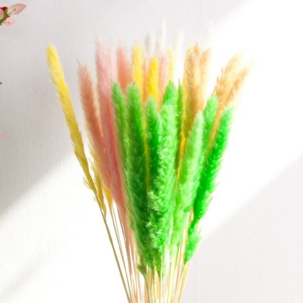 텐바이텐 [2+1] 팜파스 조화 가지 65cm (8개입) 조경 인테리어 소품