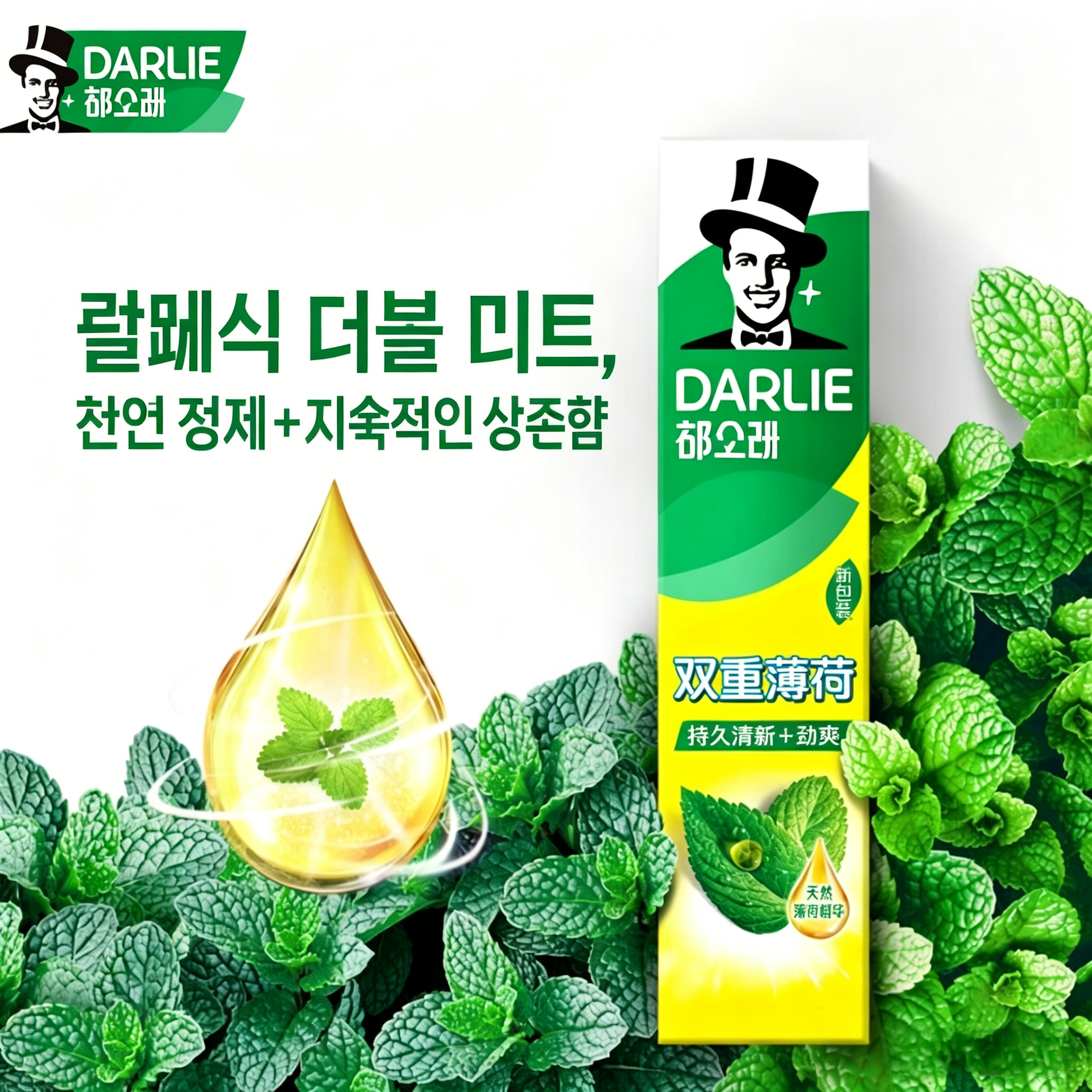 홍콩 달리치약 대용량 액션 더블민트 225g 12개입