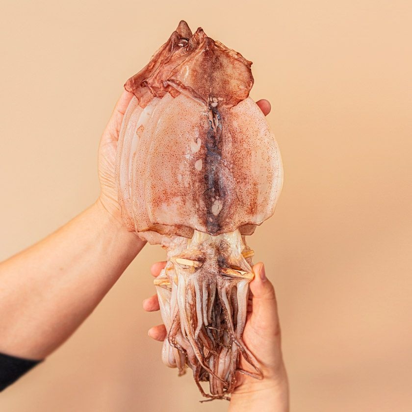 [롯데온] 피데기 반건조 오징어 5미 750g