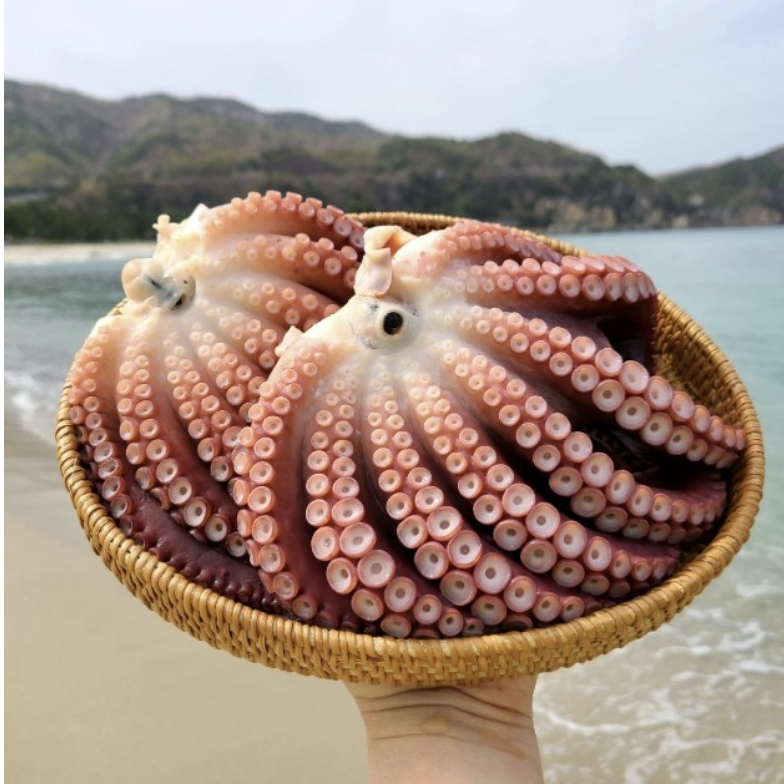 [롯데온] 동해 삼척 피문어 대문어 숙회 자숙문어 1kg(자숙 후 700g) (44,180원/무료)