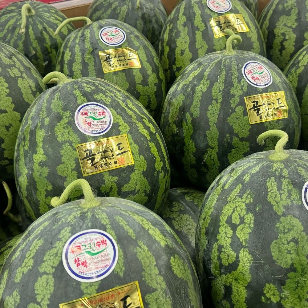 [롯데온] 고당도 원두막 꿀 수박 7kg 이상