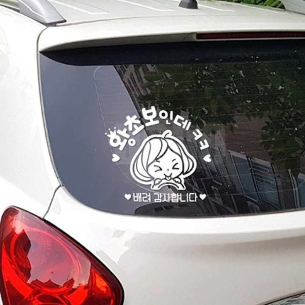 도도마켓 자동차스티커 왕초보인데ㅋㅋ 차에붙이는스티커 왕초보운전 차량용스티커 배려감사합니다 왕초보스