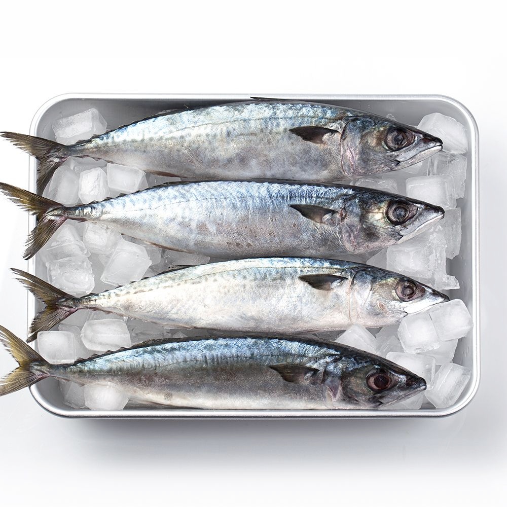[롯데온] 내산 부산 자반 손질 특대 고등어 10미 3.5kg 내외 (18,780원 / 무배)