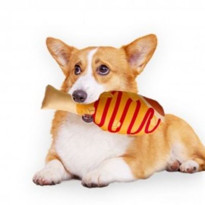 [呪文]子犬おもちゃペットおもちゃペットおもちゃ子犬おもちゃドグトイペットおもちゃプードルおもちゃペットおもちゃホットドー