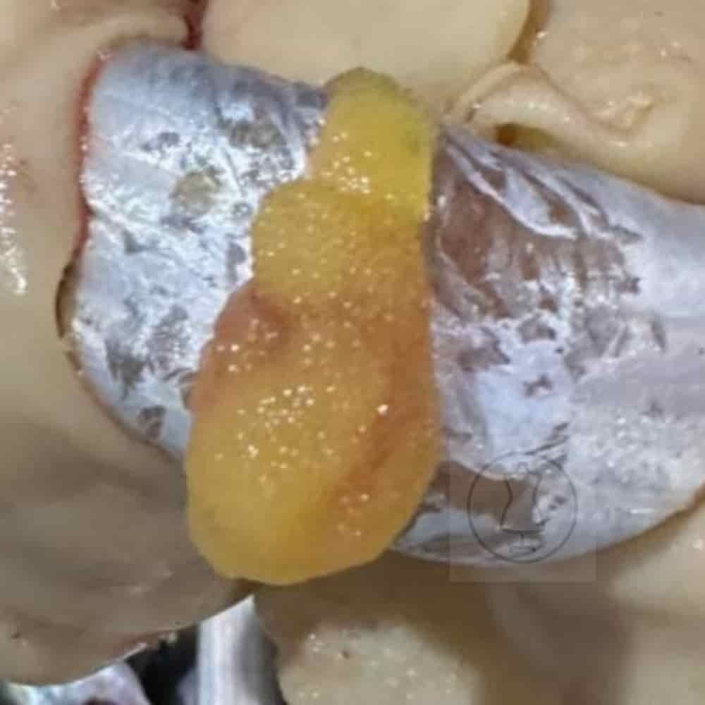 S자사협력사 양미리튀김 냉동생선 양미리구이 냉동 양미리 2KG