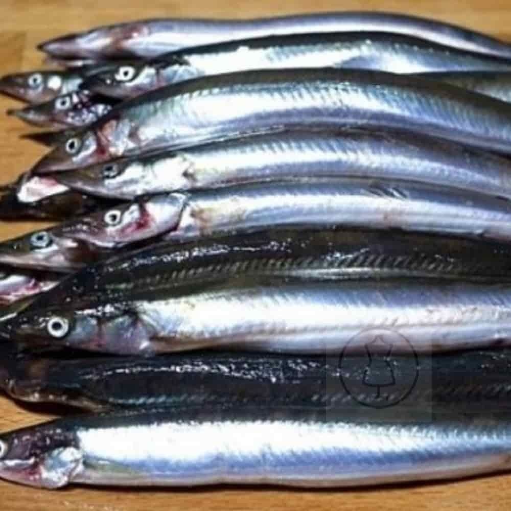 S자사협력사 냉동생선 구이생선 냉동수산물 냉동 양미리 1KG