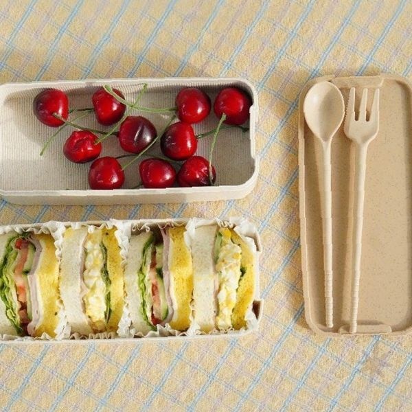 2층구조 휴대식사용기 전자레인지사용가능 밀폐형 칸막이분리 직장인용 학생용