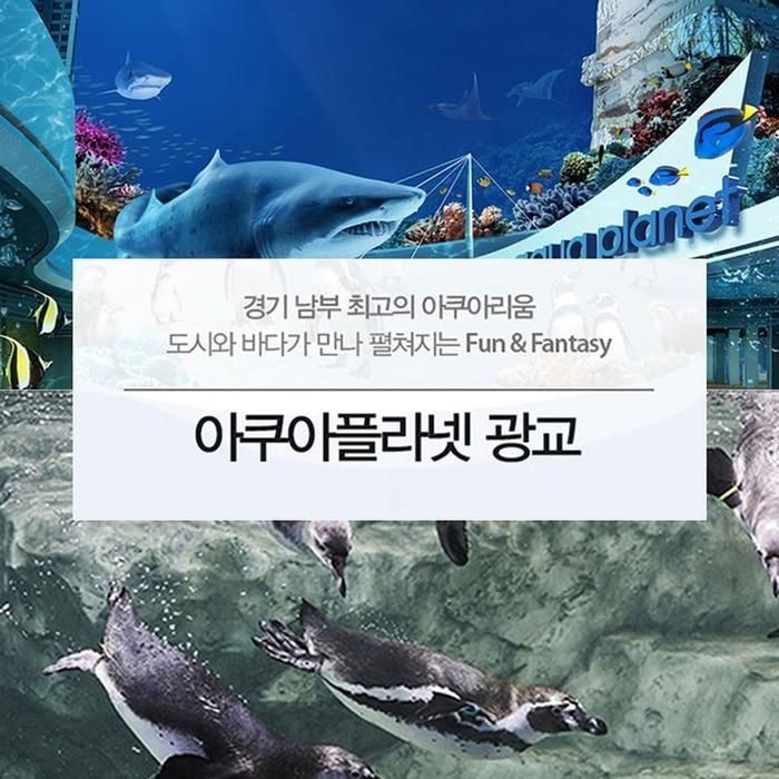 아쿠아플라넷 이용권 (광교점) 코스트코 잡화마켓2605
