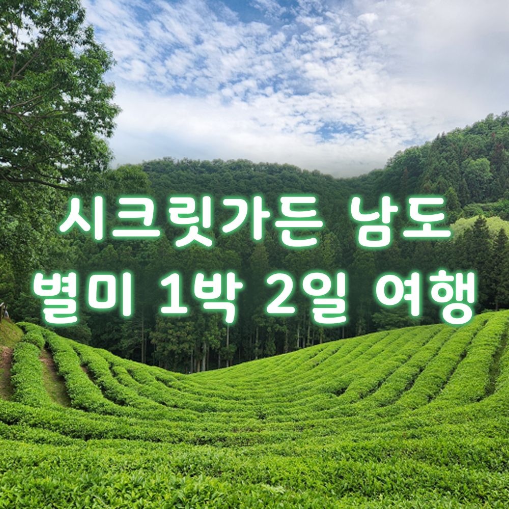 테마캠프 [1박2일] 시크릿가든 남도(화순 운주사, 보성 대한다원, 열화정, 고흥 쑥섬, 우도)