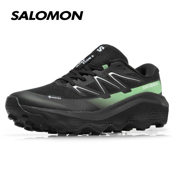 울트라 플로우 2 GTX L47981400 블랙
