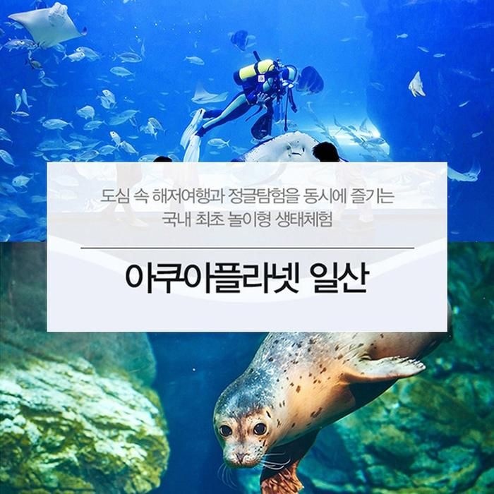아쿠아플라넷 이용권 (일산점) 코스트코 마켓송지2605