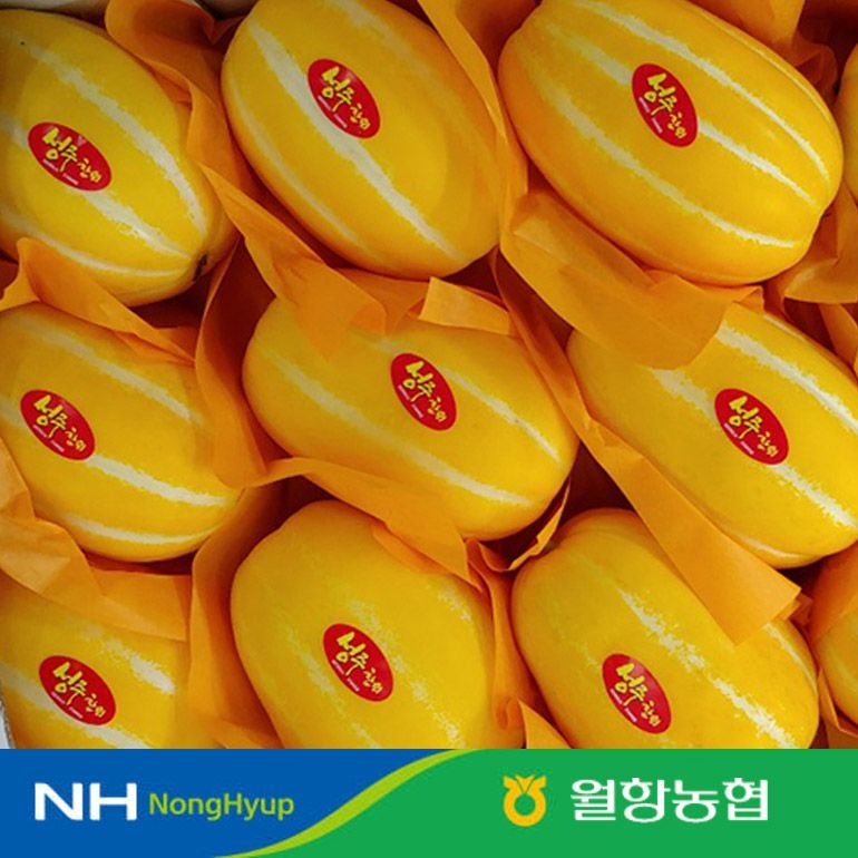 [롯데온] 당도선별 정품 성주꿀참외 특품 2kg (12브릭스이상) (7,260원/무료)