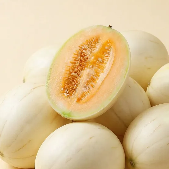 국내산 경북 솜사탕멜론 2kg(2-5과 내외)