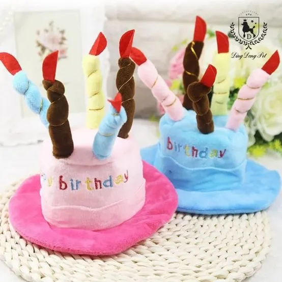 딩동펫 반려동물 케이크 모자 생일파티 축하 악세사리 용품