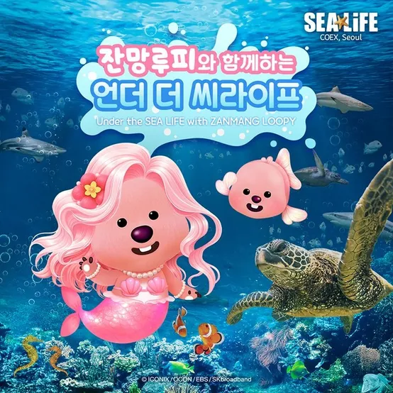 [서울/삼성] 씨라이프 코엑스아쿠아리움 7월