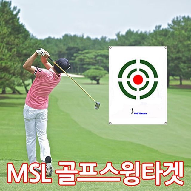 2CGC2 스윙타겟B형 골프스윙타겟 골프용품 골프연습용품 스윙타켓