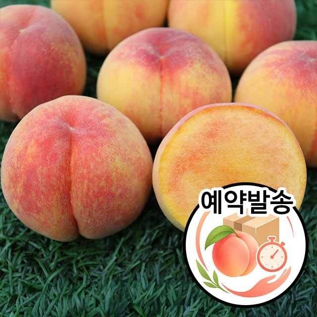 [오늘출발] 장호원 햇사레 복숭아 황도복숭아 4kg (14-16과)