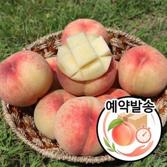 장호원 햇사레 복숭아 백도복숭아 3kg (13-15과)