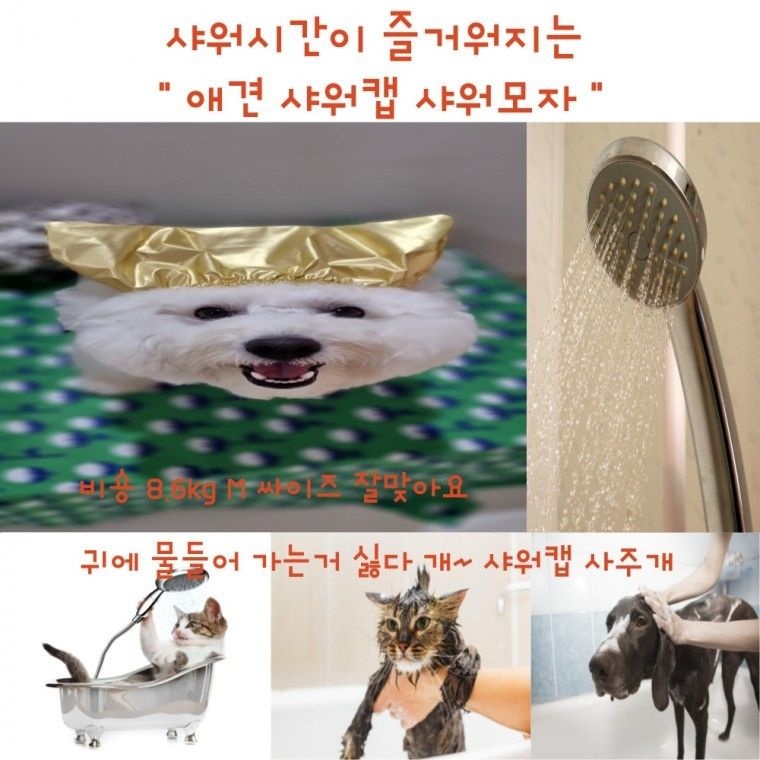 [쁘띠아미마켓협력업체]사러왕 강아지 고양이 목욕 방수 귀마개 애견 샤워캡 모자 물놀이 헤어밴드 스파 목욕용품