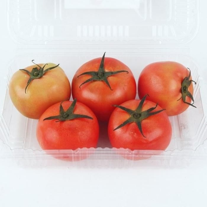 [자연품애]스윗 스테비아 단마토 2kg (1kg*2팩)