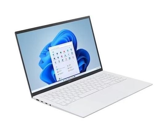 LG 그램15 15Z90RU-GAOWK i5 16GB 256GB 15인치