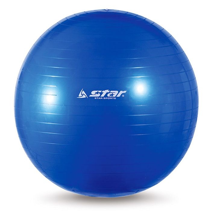스타스포츠 짐볼(EB200) 65cm