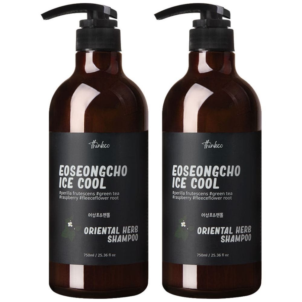 띵코 어성초 아이스 쿨 샴푸 750ml 2개 세트 / 더블쿨링 두피케어 냄새제거 청소년 사춘기 샴푸