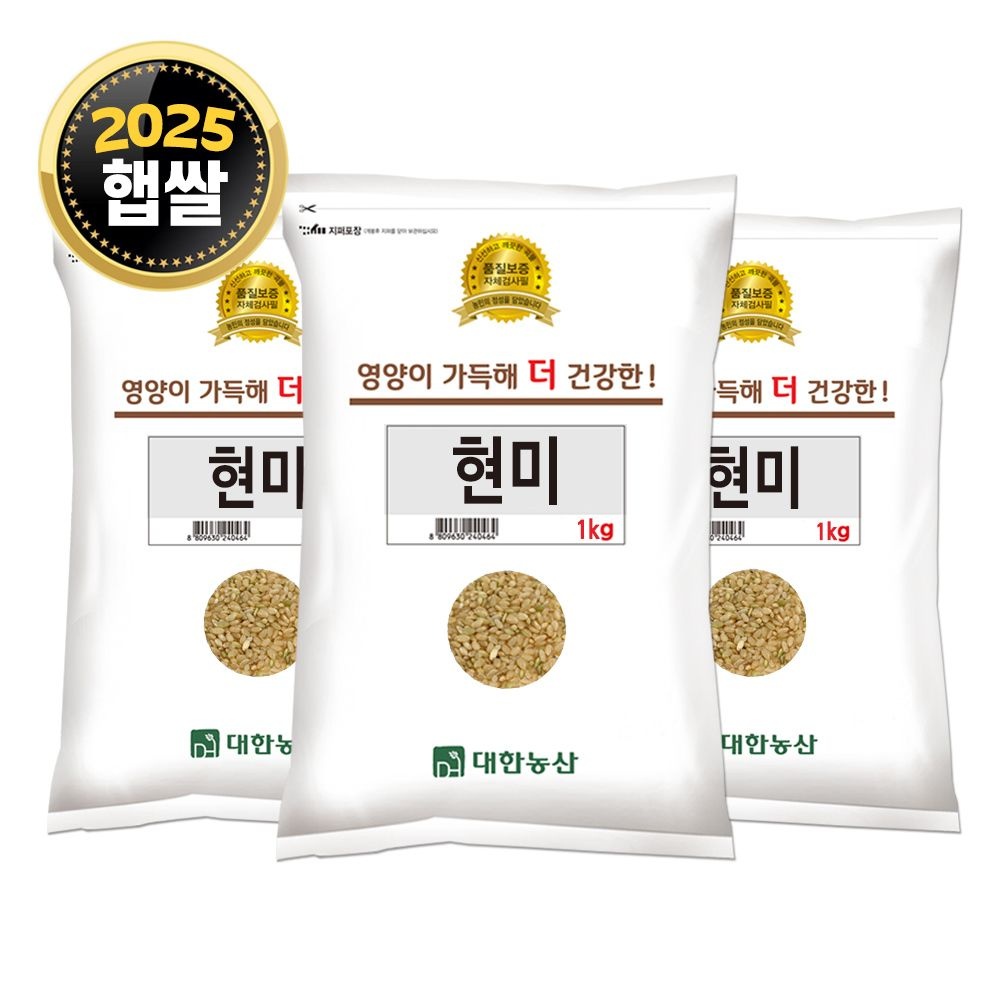 [오늘출발] 대한농산 25년산 국산 현미 3kg (1kgx3봉) 국내산 잡곡 현미쌀