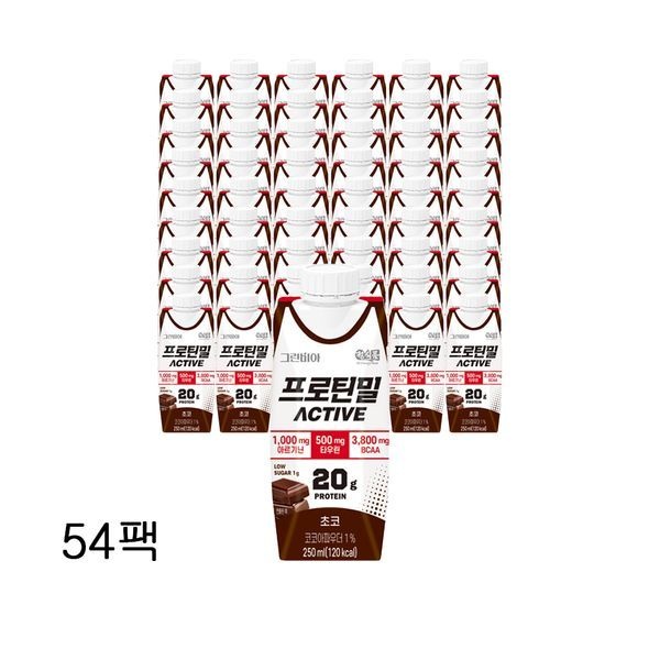 그린비아 프로틴밀 액티브 초코 250ml x 54팩