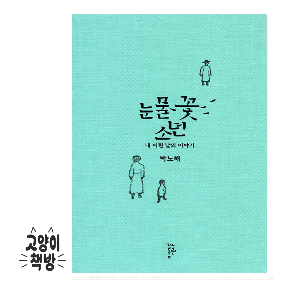 눈물꽃 소년 - 내 어린 날의 이야기 느린걸음 (500418)