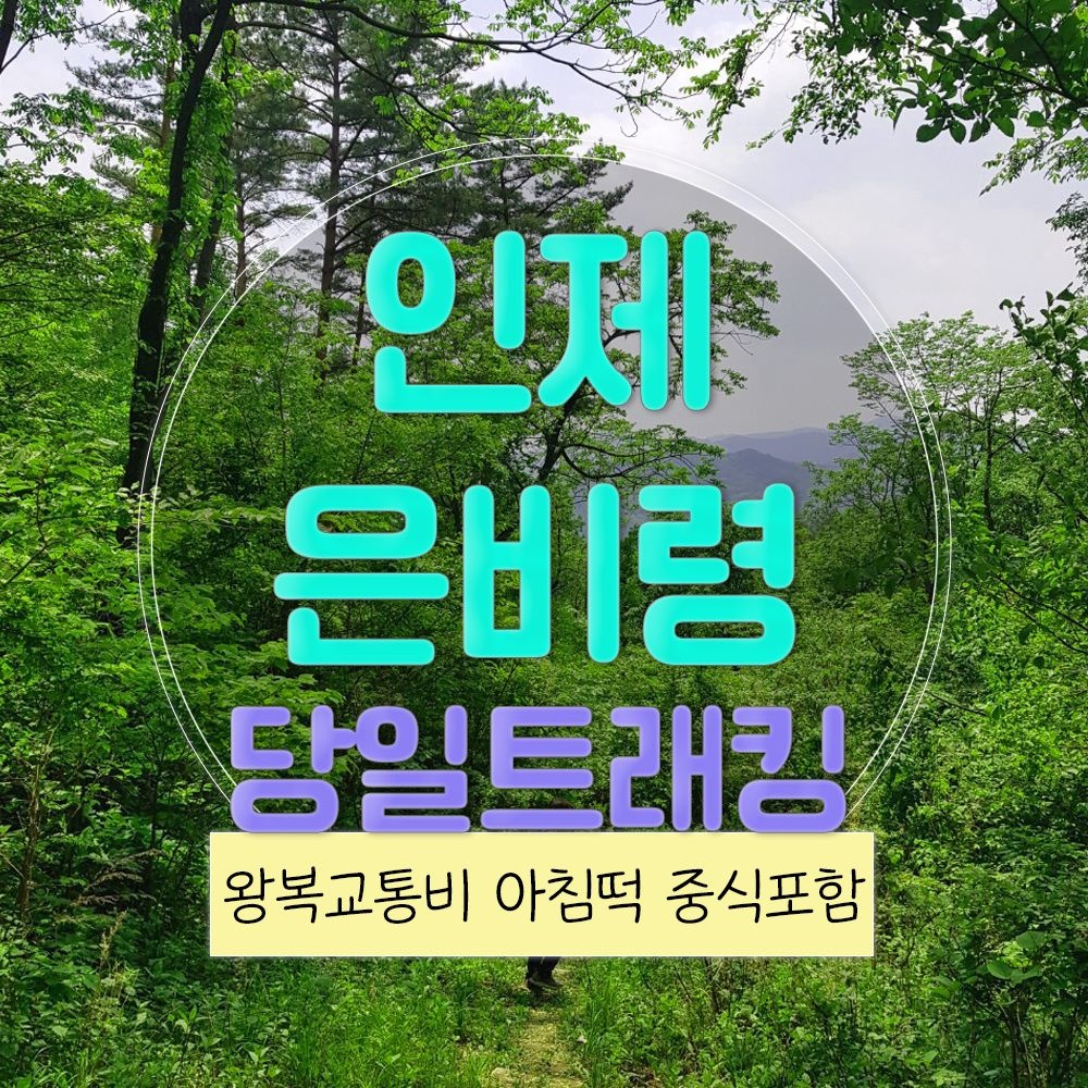 강원 이름도 아름다운 인제 은비령 트래킹 ( 중식제공 ) 당일여행