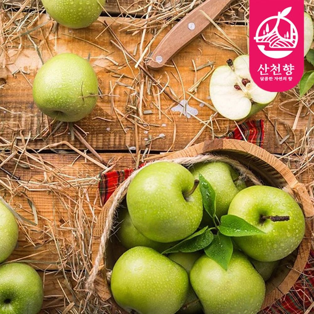 [산천향] 안동사과 아오리 (가정용) 2kg/3kg/5kg