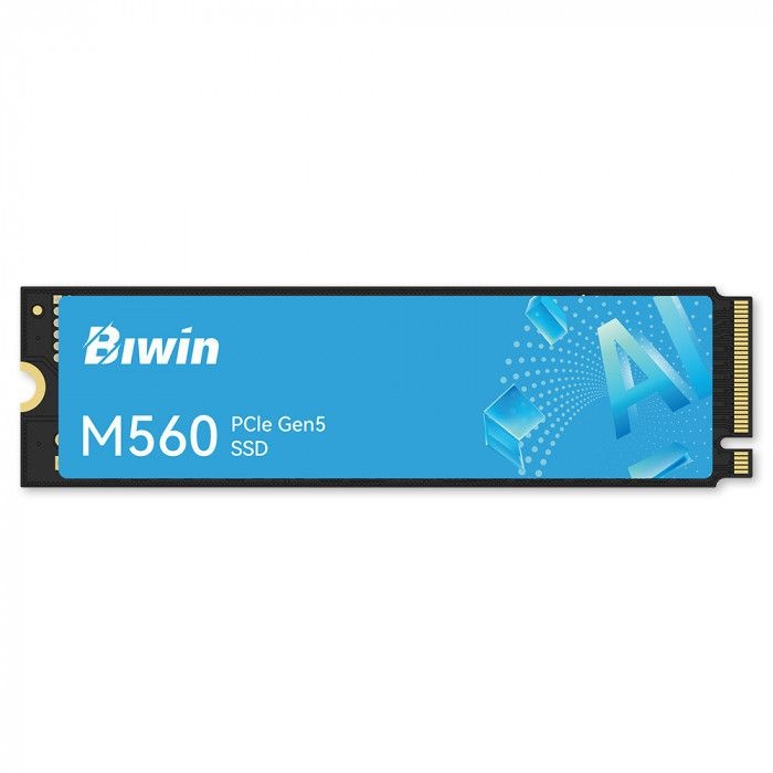 [바이윈] BIWIN M560 M.2 NVMe SSD (2TB)