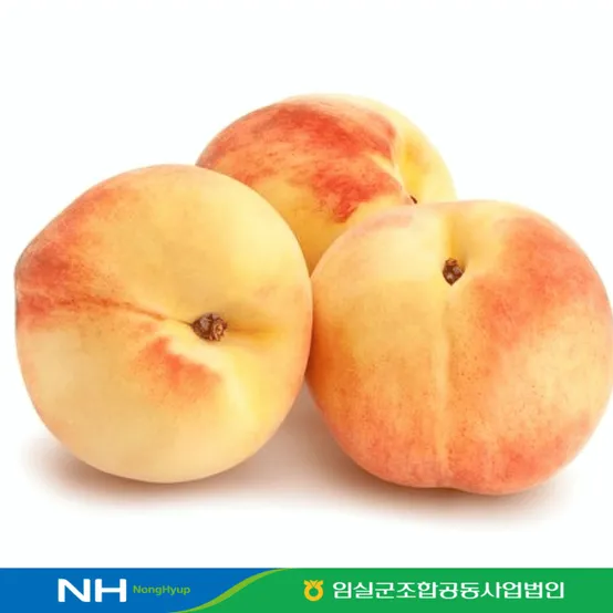 [더프레시]임실농협 복숭아 황도,백도 랜덤출고 2.5kg 8-12개입