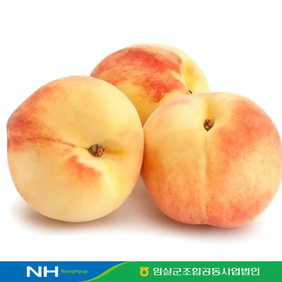 [푸드조아]임실농협 말랑이 복숭아 황도,백도 랜덤출고 2.5kg 8-12개입