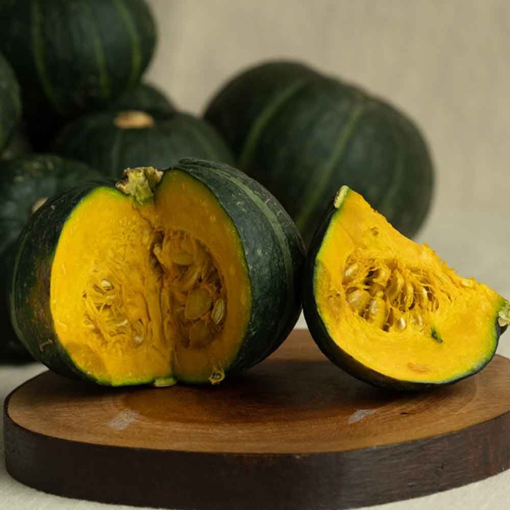 [롯데온] 제주 햇 미니 단호박 5kg