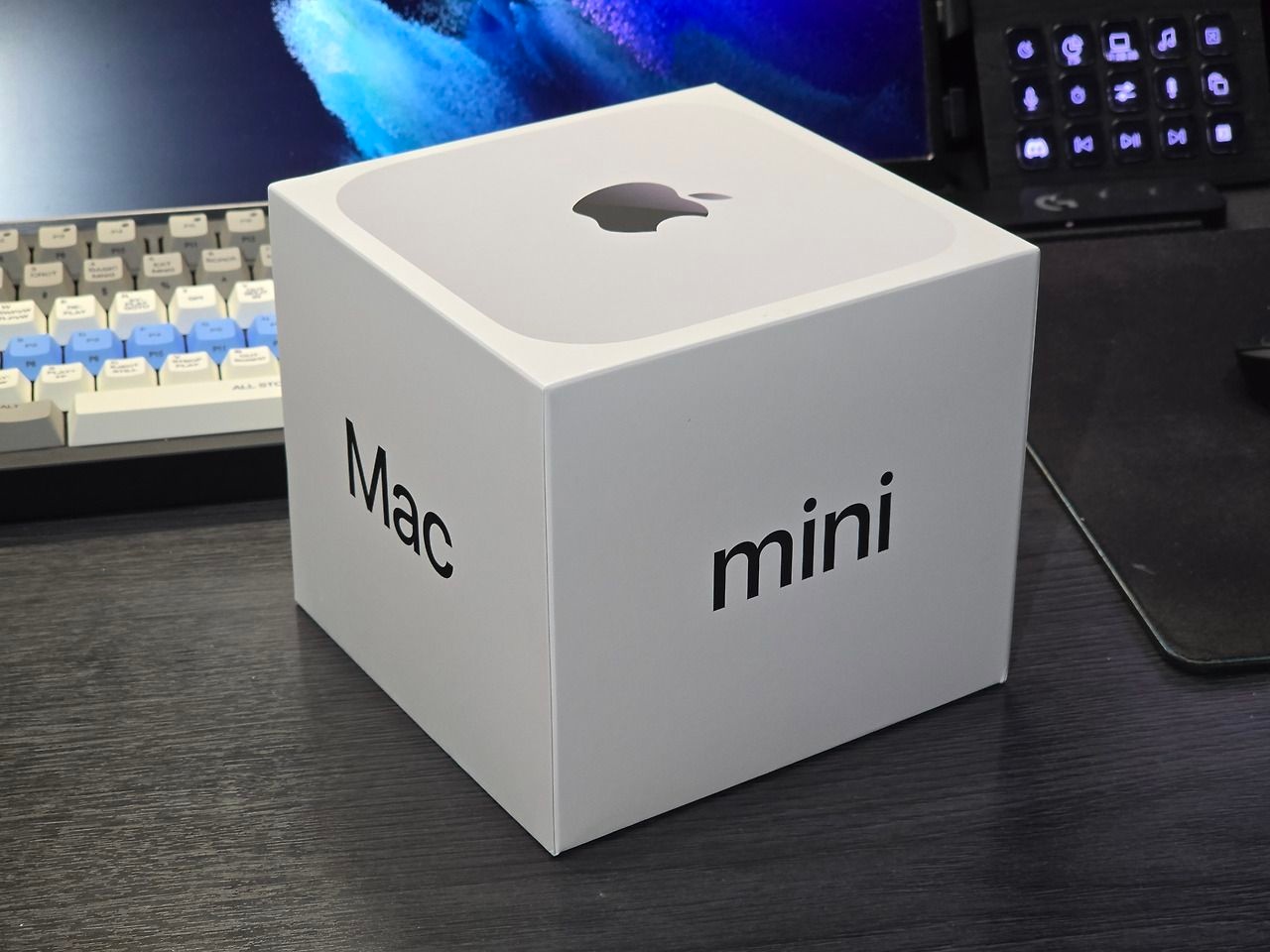 APPLE 맥미니 M4 MU9D3KH/A (16GB, SSD 256GB)