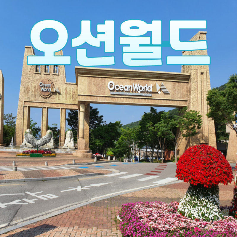 홍천 오션월드 종일권 실외락커 구명조끼 바코드 입장 당일사용 문자발송 워터파크