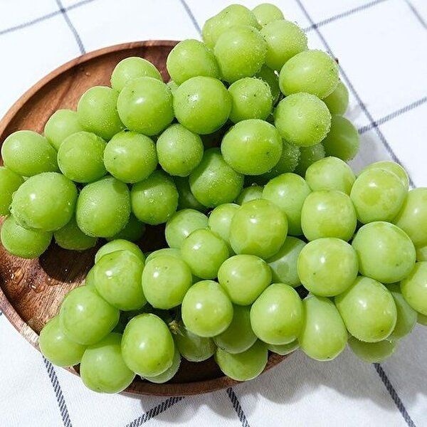 [셀러허브 식품]상주 김천 샤인머스켓 2kg 3수입 가정용 망고포도 상주샤인머스켓 씨없는 청포도 영동 (51147723)