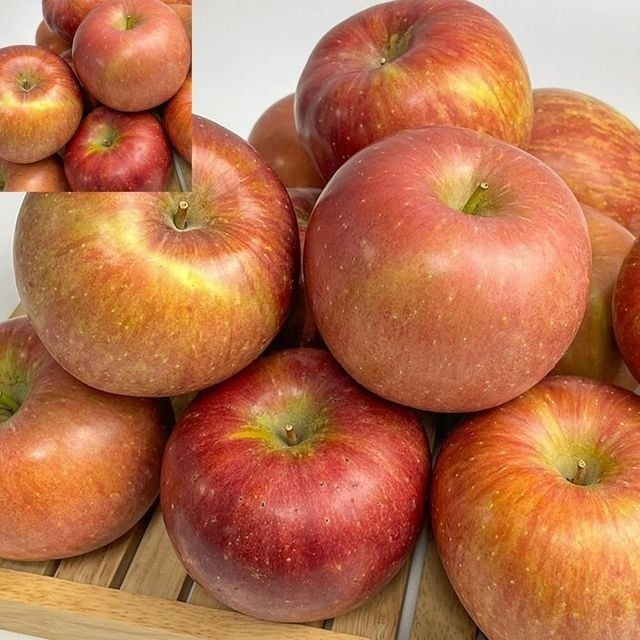 부사 사과 특품 10kg 중소과 가정용사과 가을과일 중소형 빨강햇사과