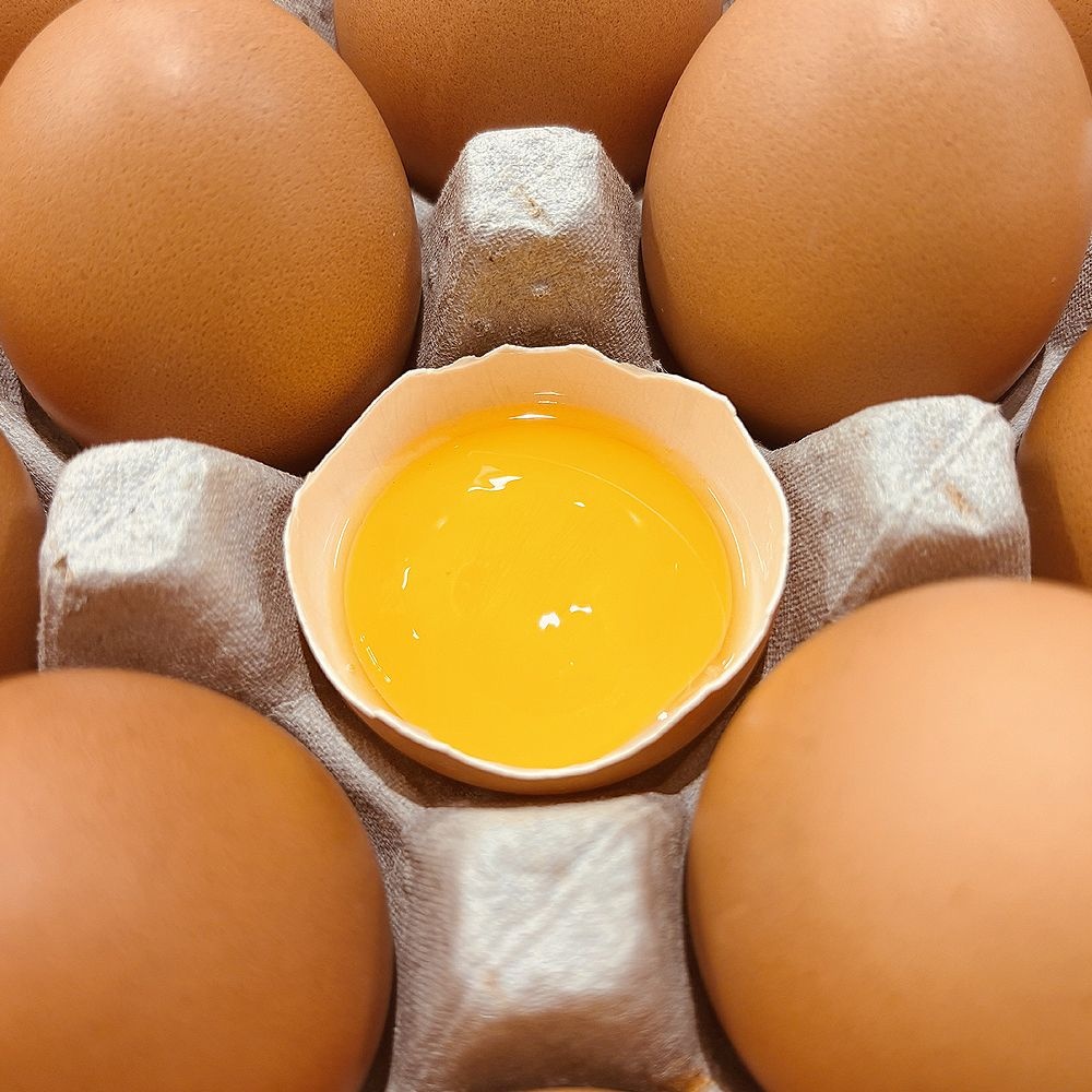 HACCP 계란 특란 무정란 달걀 30구
